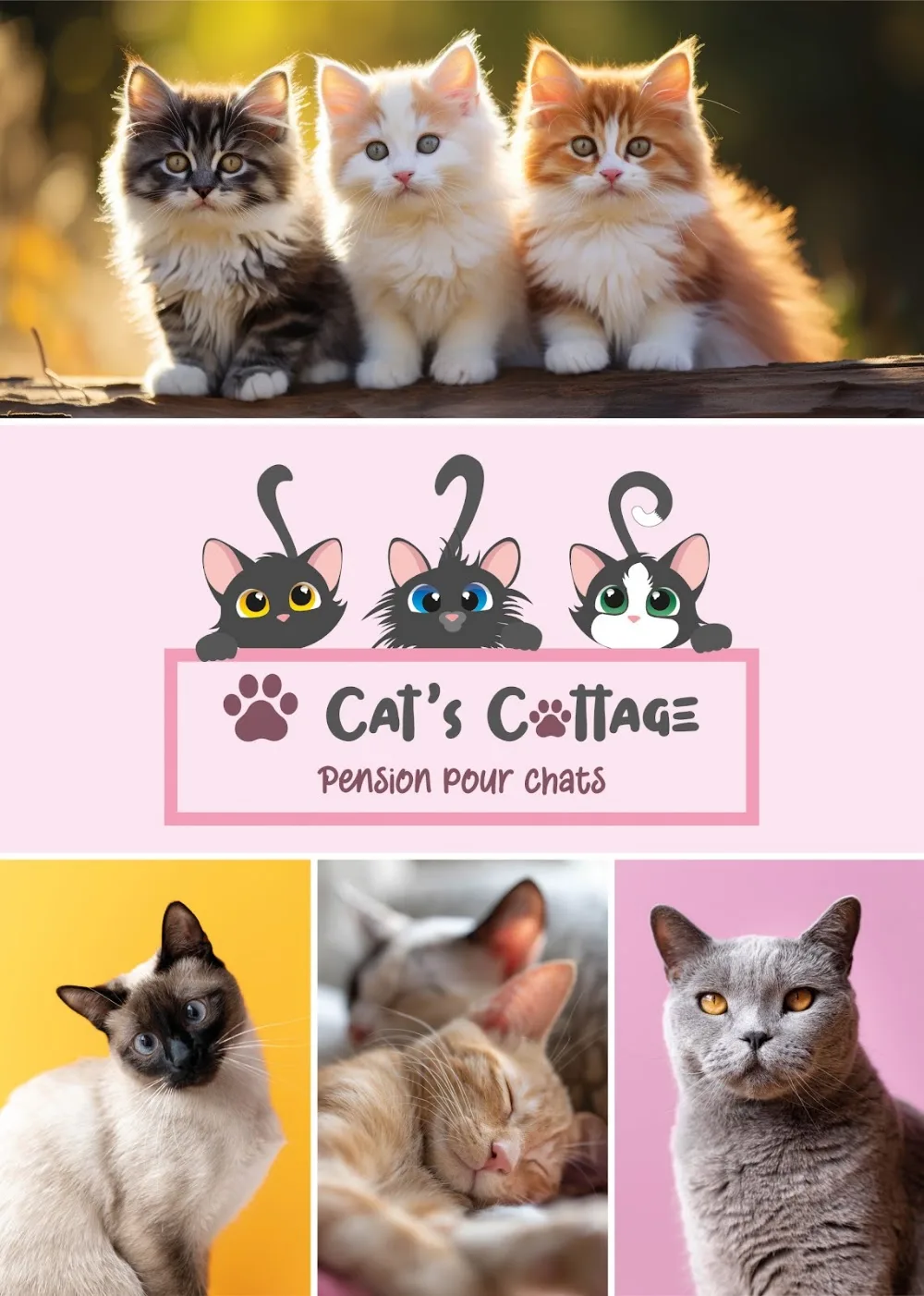 Cat's Cottage - Marchin pet otel görseli 6