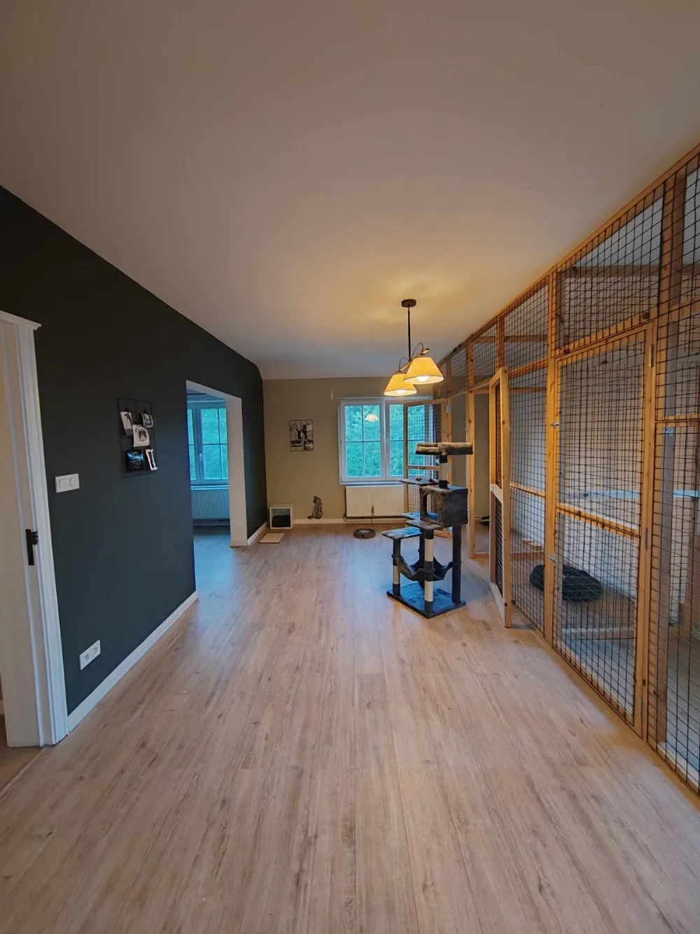 Pension pour chats Chez Yellow - Marchin pet otel