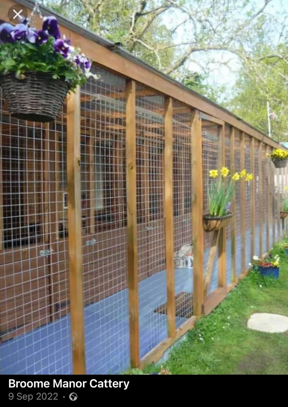 Broome Manor Cattery - Marlborough pet otel görseli 3