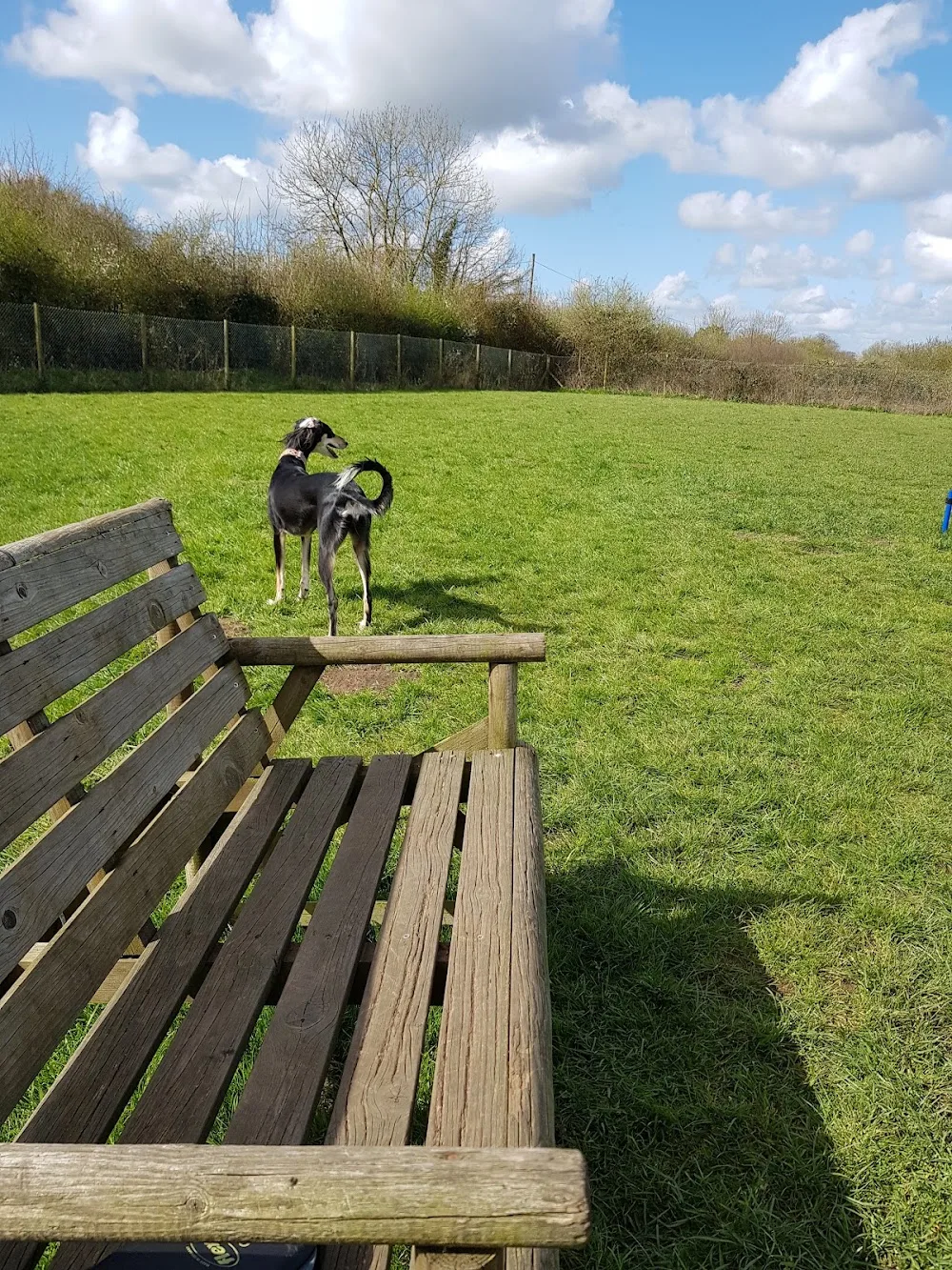 Flaxlands Kennels and Cattery - Marlborough pet otel görseli 3