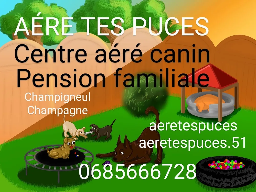Aére tes puces - Marne pet otel