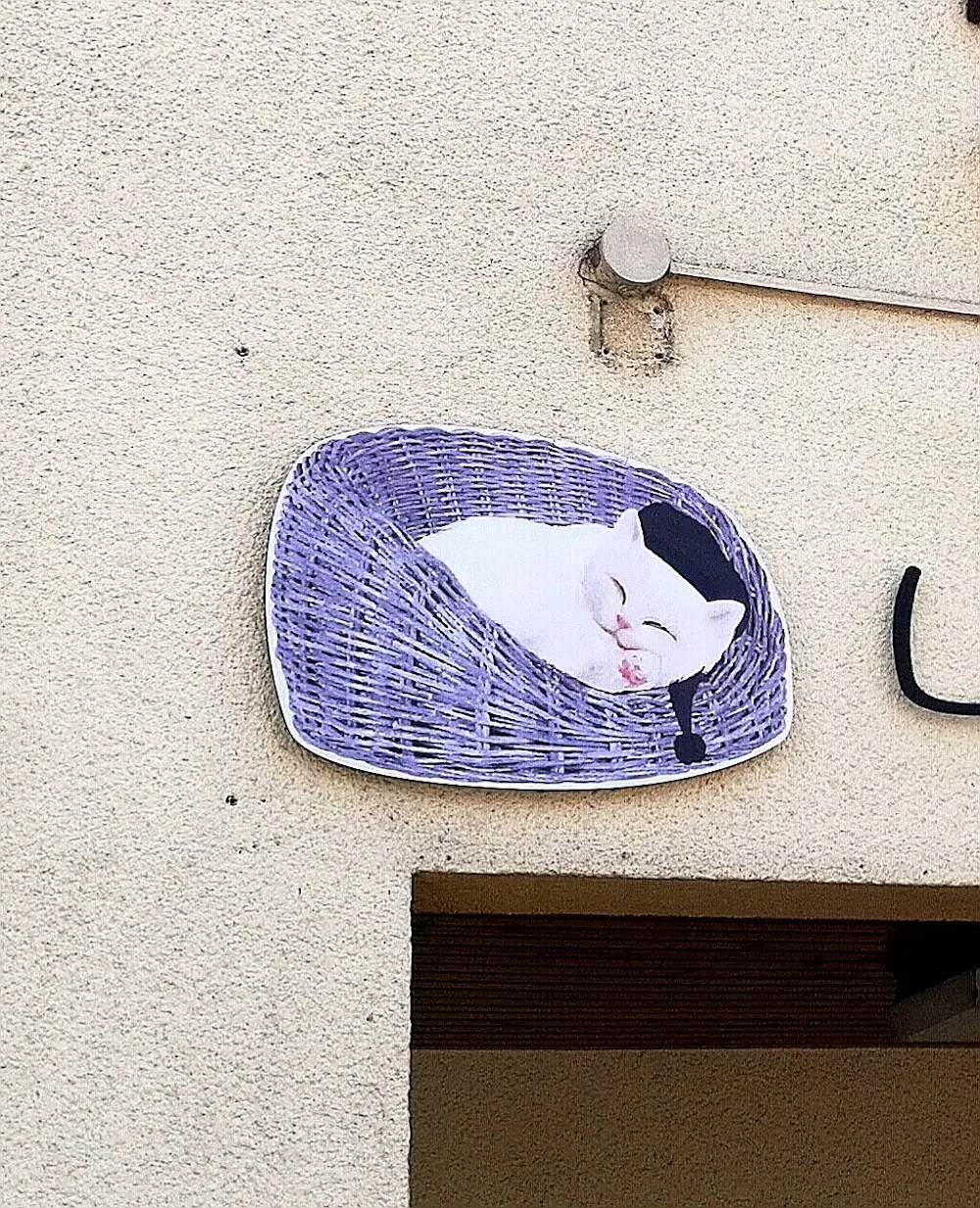 Hôtel Félin Le Nid Douillet - Marne pet otel
