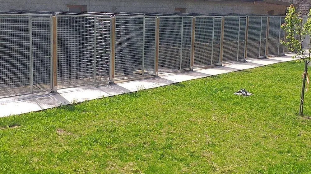 Pension canine du Clos Saint Joseph - Marne pet otel