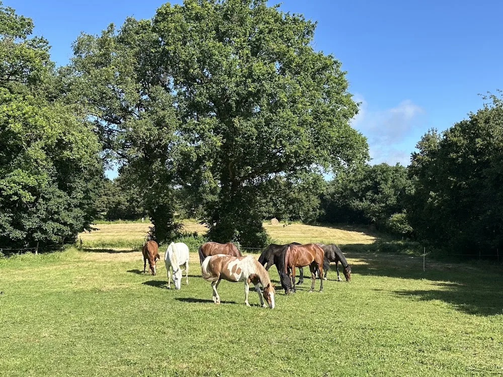 Pension cheval piste active - près d'Angers - Marne pet otel görseli 3