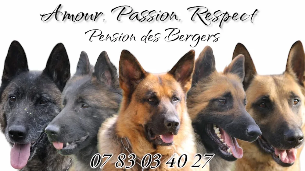 Pension des Bergers - Marne pet otel görseli 2