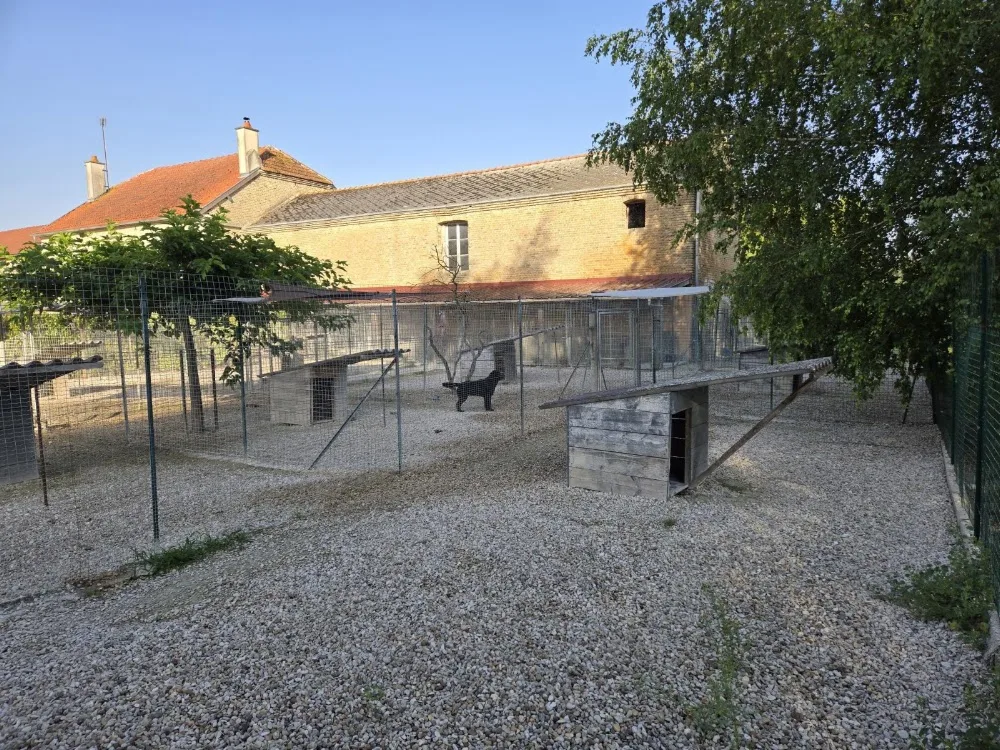 Pernant et Compagnie - Marne pet otel görseli 3
