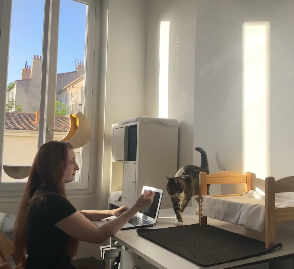 L'École du Chat Noir - Pension féline & Comportementaliste - Marseille pet otel görseli 2