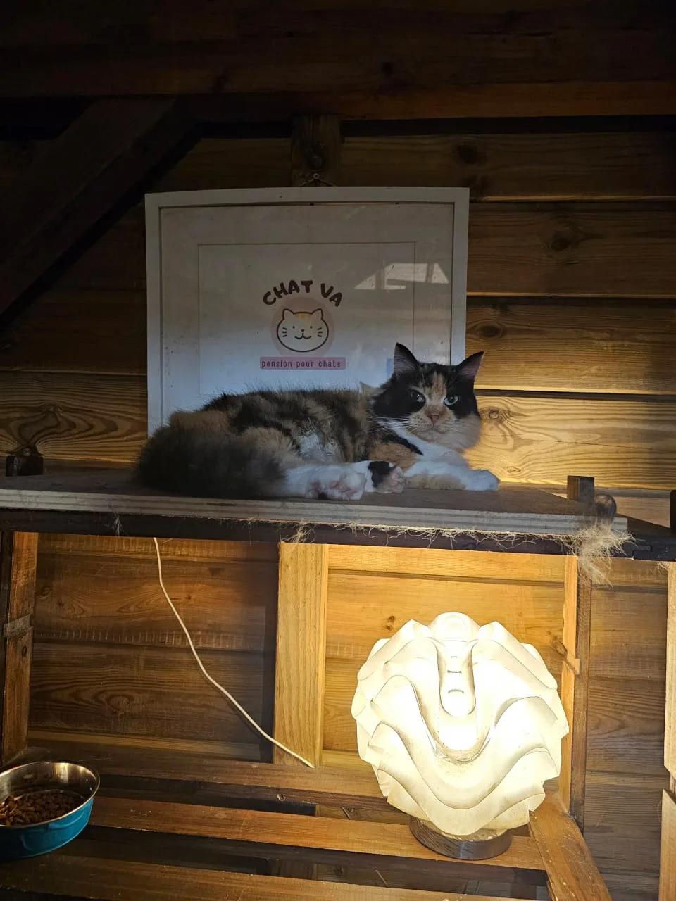 Pension Chat Va - Martinique pet otel