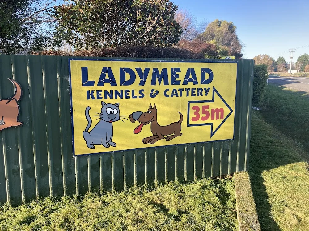 Ladymead Boarding Kennels & Cattery - Masterton pet otel görseli 3