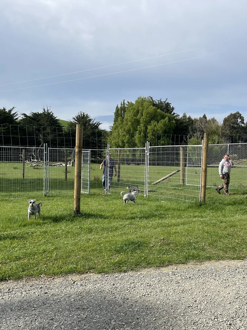 Wairarapa Boarding Kennels - Masterton pet otel görseli 3