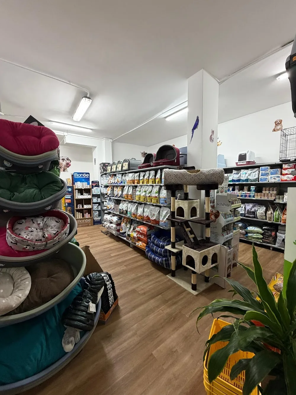 Pet's Village Store Matera - Matera pet otel görseli 3