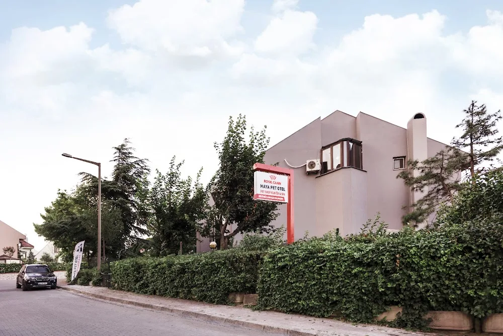 Maya Pet Otel - Istanbul pet otel görseli 2