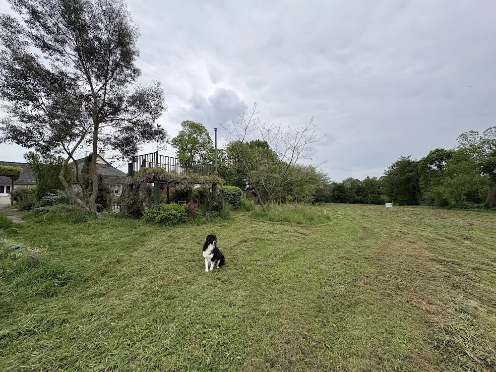 Chez Georgette Pension Canine Familiale - Mayenne pet otel