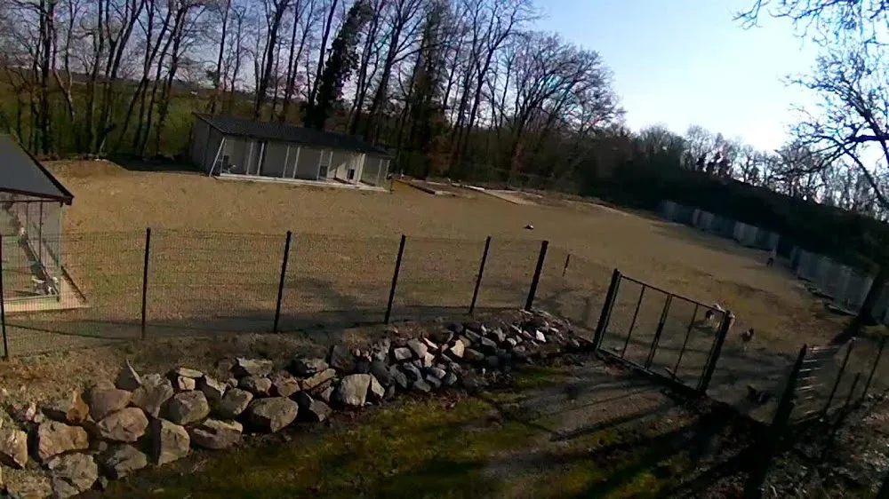 Family Dog Evolution - Mayenne pet otel