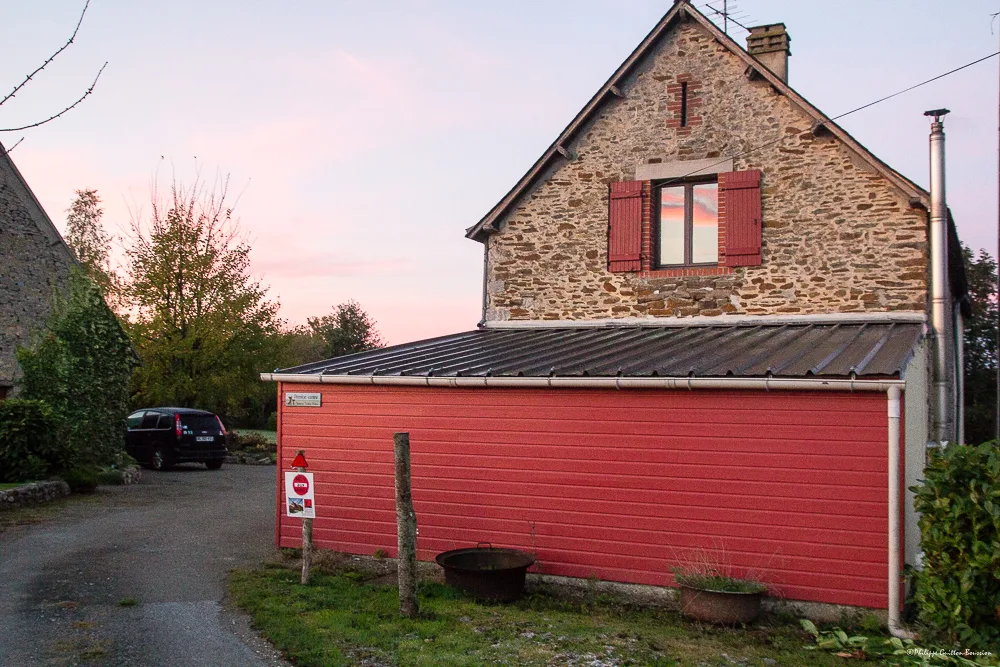 Pension canine Nounou Toutou Matou - Mayenne pet otel
