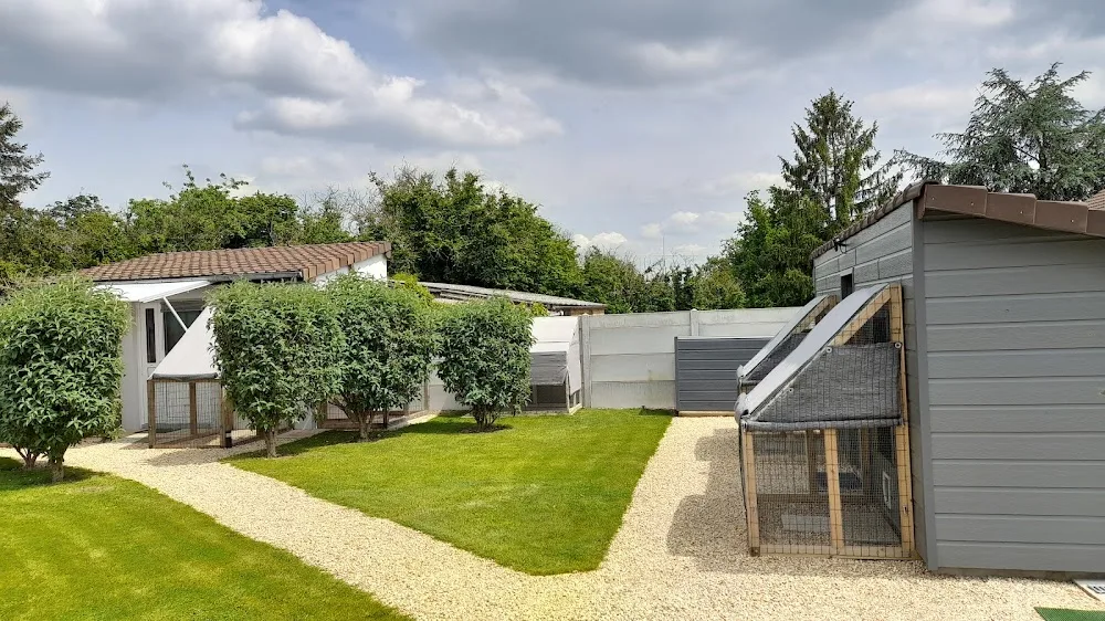 pension jalilas cat's - Mayenne pet otel
