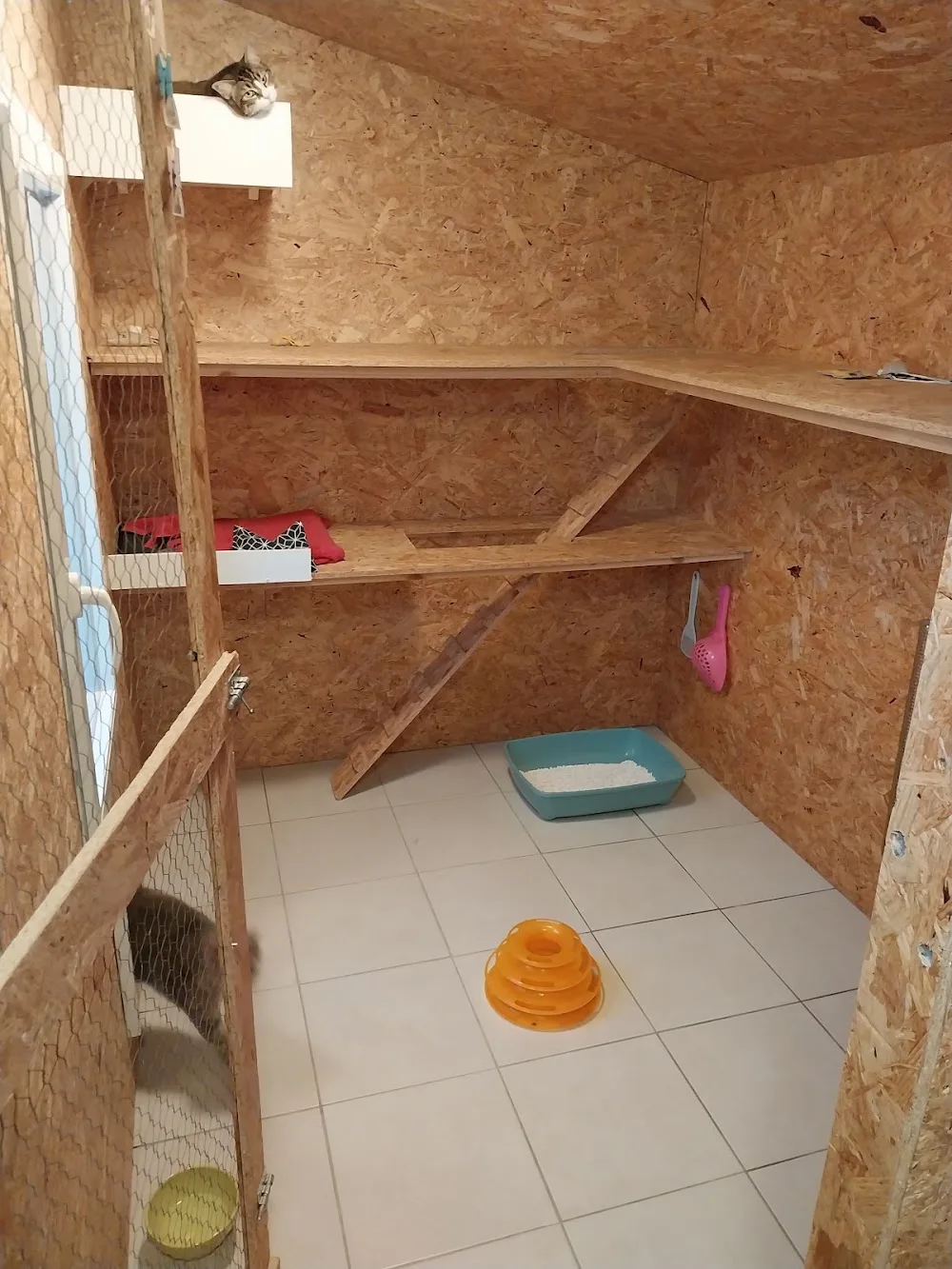pension jalilas cat's - Mayenne pet otel görseli 3