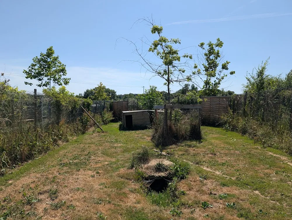 Terre de Légendes - Élevage, pension, éducation, alimentation et accessoires pour chiens et chats - Mayenne pet otel