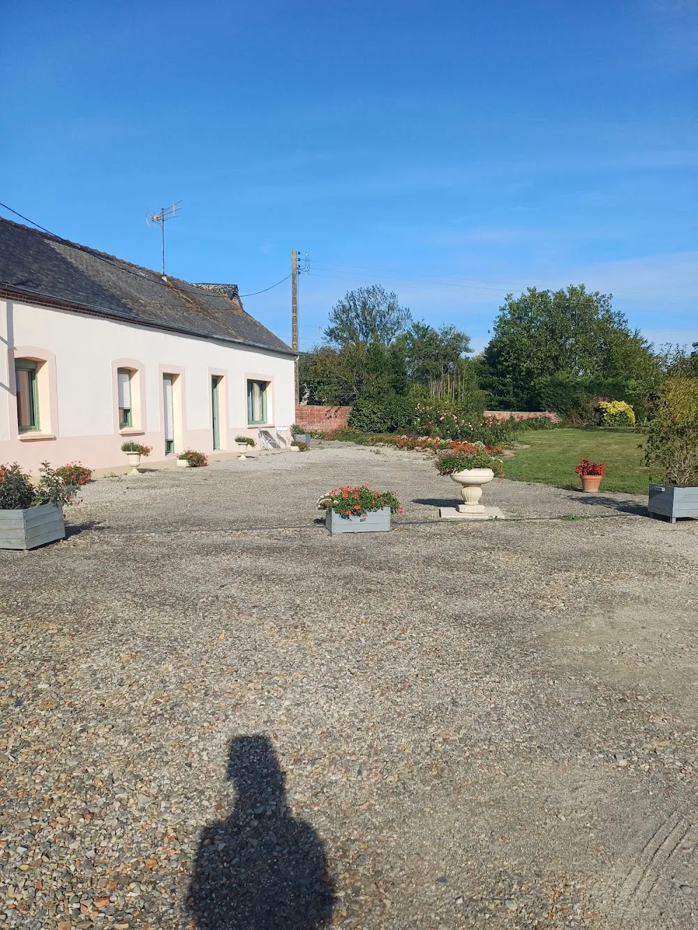 Terre de Légendes - Élevage, pension, éducation, alimentation et accessoires pour chiens et chats - Mayenne pet otel görseli 3