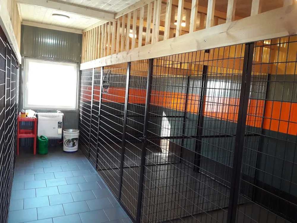 Hotel dla psów CANIS - Mazovia pet otel