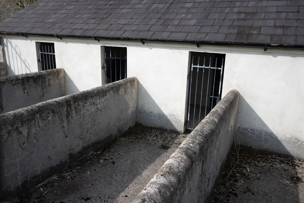 Dog Kennels - Meath pet otel