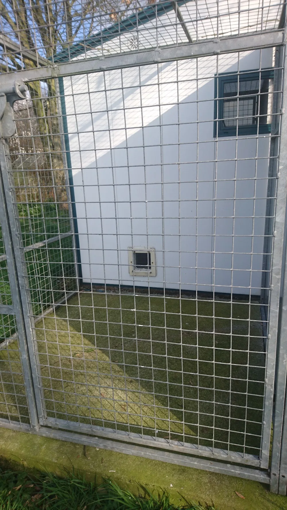 Feline Friends Cattery - Meath pet otel görseli 3