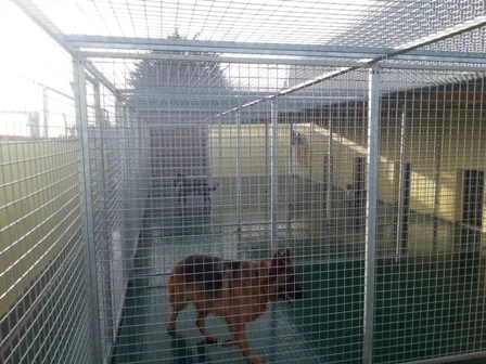 Happyhounds Dog Boarding Kennels - Meath pet otel görseli 3