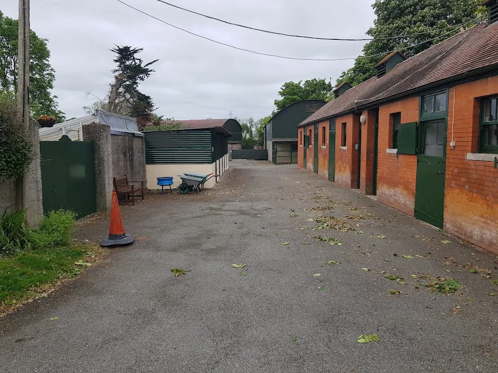 Vesington Boarding Kennels - Meath pet otel görseli 3