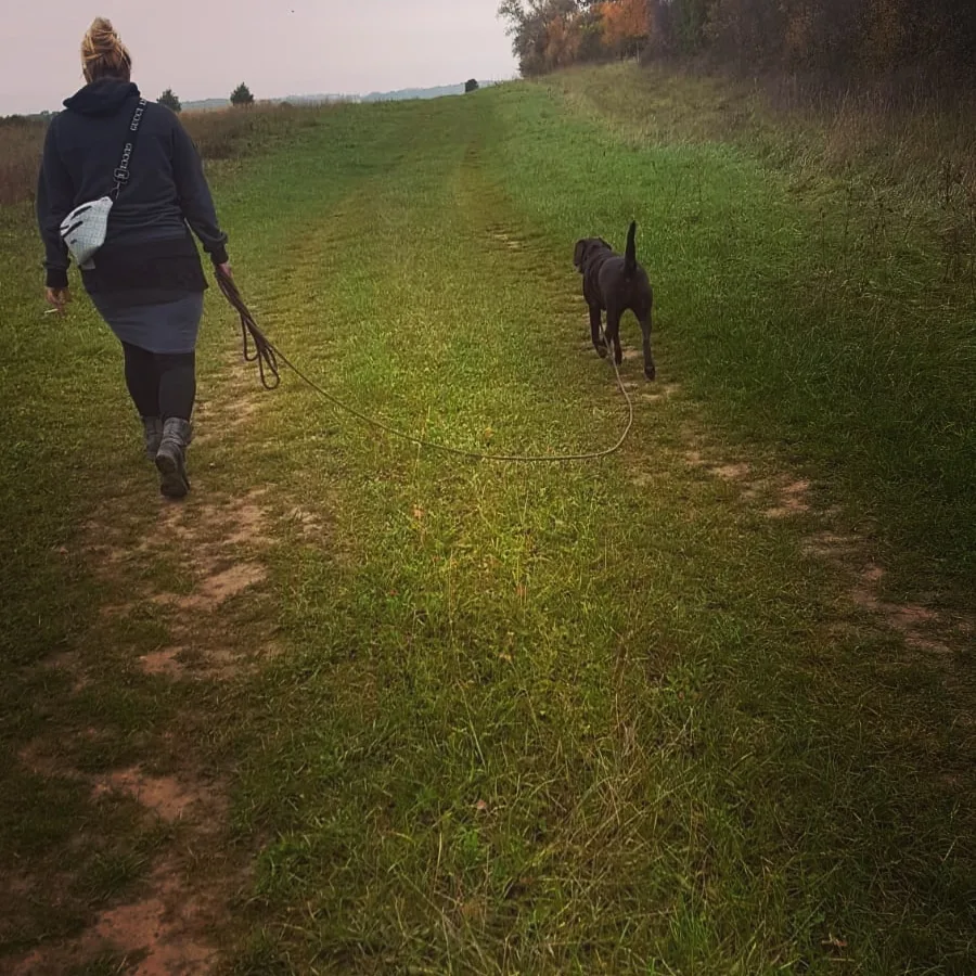 Hundepension von den Hellbergen - Mecklenburg-Vorpommern pet otel