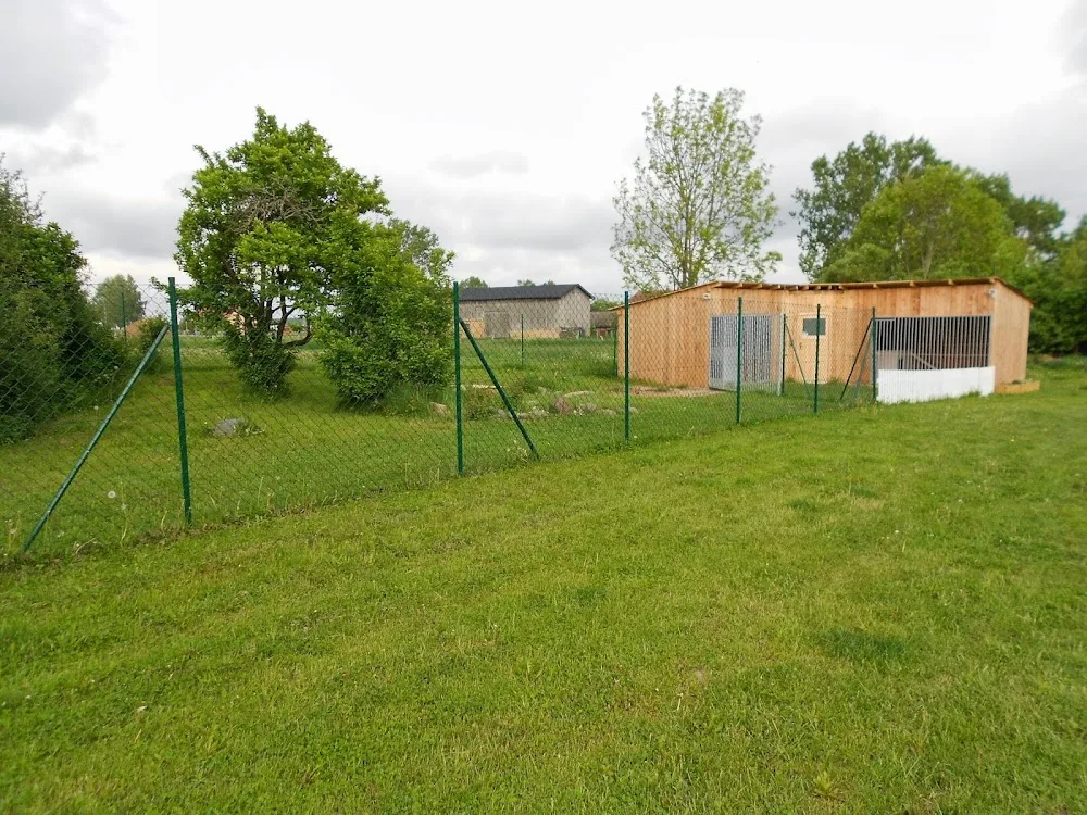 Hundeschule und Tierpension - Silvia Bergemann - Mecklenburg-Vorpommern pet otel görseli 3