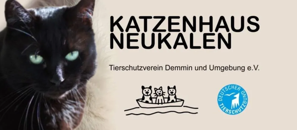 Katzenhaus Neukalen - Mecklenburg-Vorpommern pet otel görseli 3