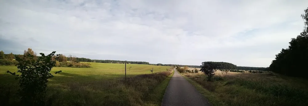 Müritz HundeKindergarten & Tierpension - Mecklenburg-Vorpommern pet otel görseli 6