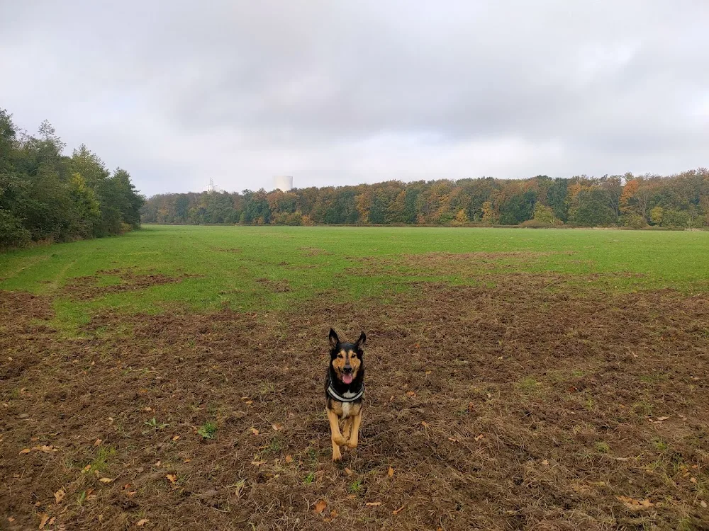 Tierpension Blank - Mecklenburg-Vorpommern pet otel