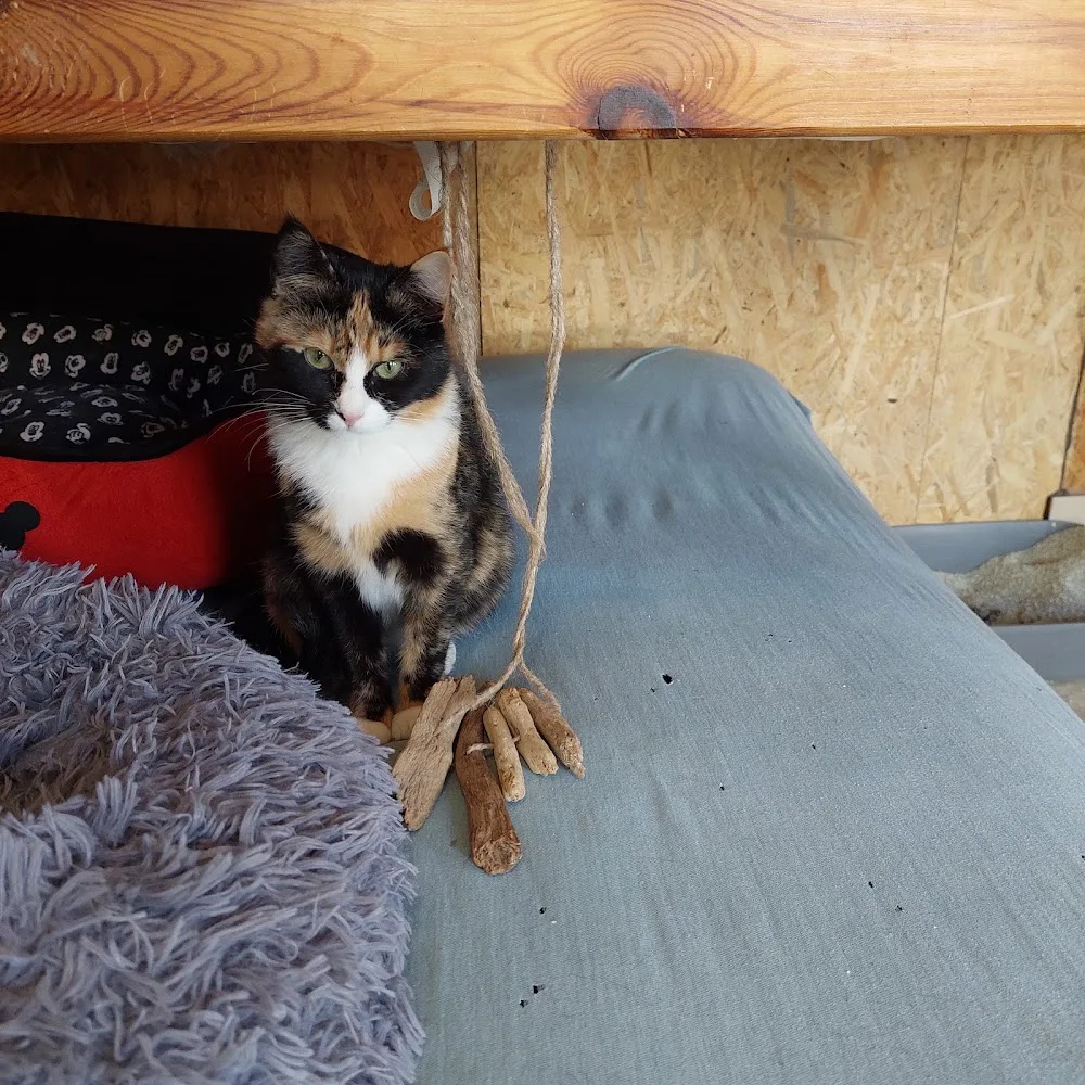 Tierpension Holthusen - Mecklenburg-Vorpommern pet otel görseli 3