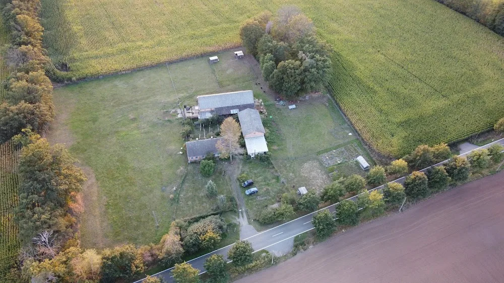 Tierpension-Mecklenburg - Daniela Oenning - Mecklenburg-Vorpommern pet otel görseli 7