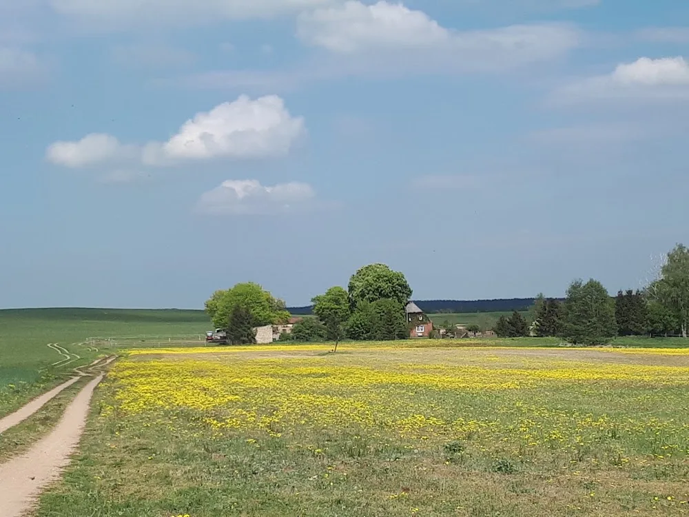 Tierpension & Tiervermittlung Inh. Petra Liebich - Mecklenburg-Vorpommern pet otel görseli 3