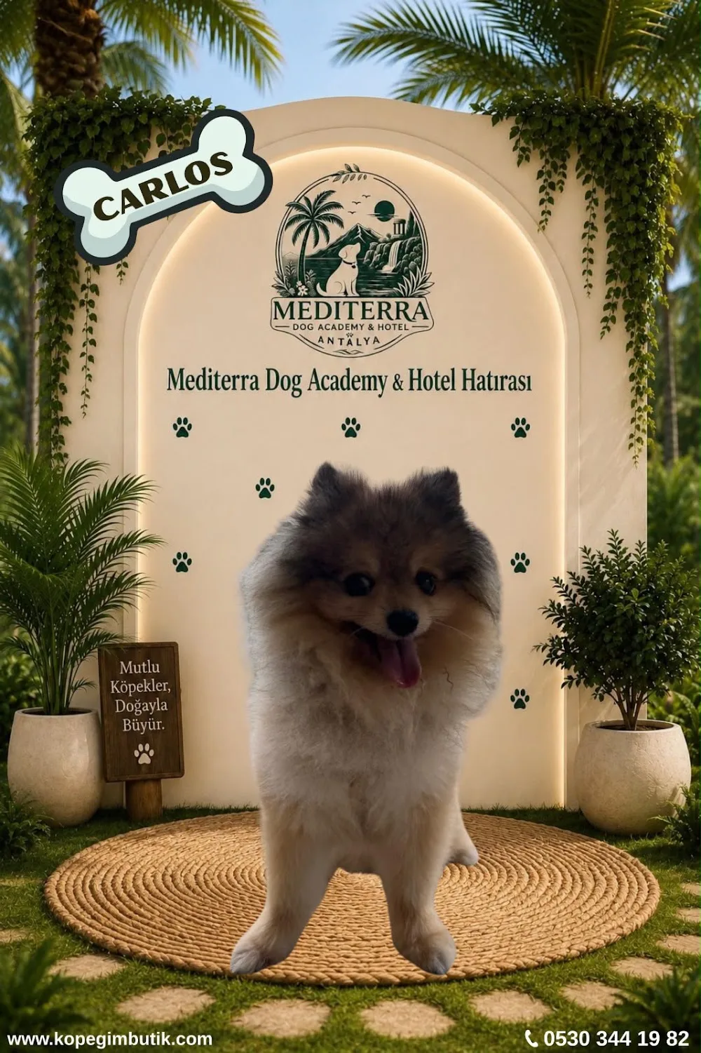 Mediterra Dog Academy & Hotel - xPet Otel görseli 6