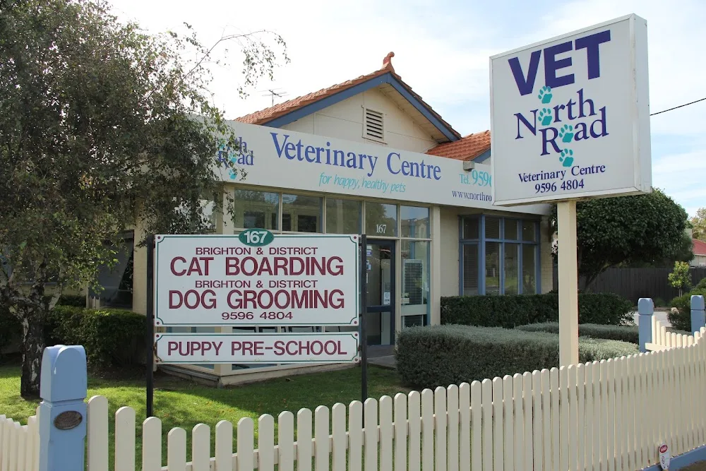Brighton and District Cat Boarding and Cattery - Melbourne pet otel görseli 2