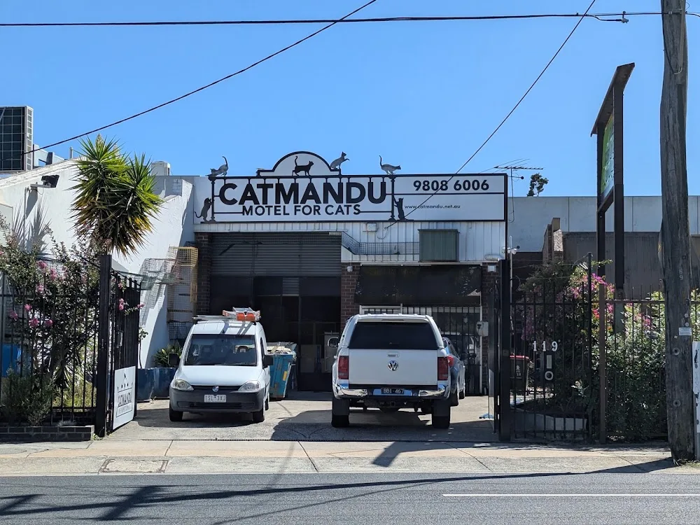 Catmandu Motel for Cats - Melbourne pet otel görseli 3