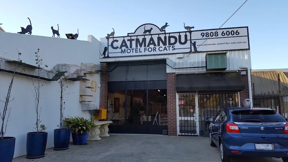 Catmandu Motel for Cats - Melbourne pet otel görseli 6