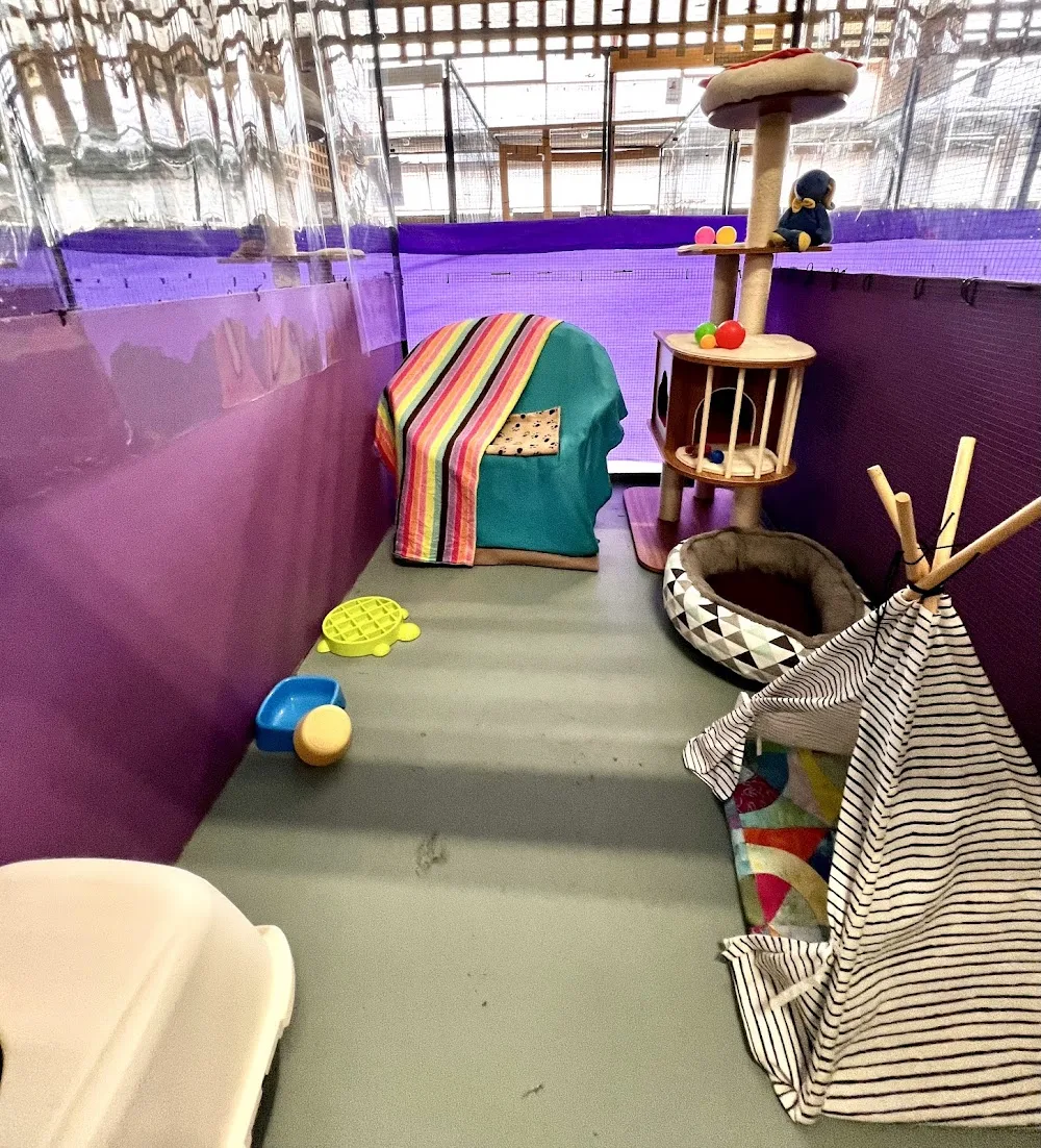 Corporate Cats Cattery - Melbourne pet otel