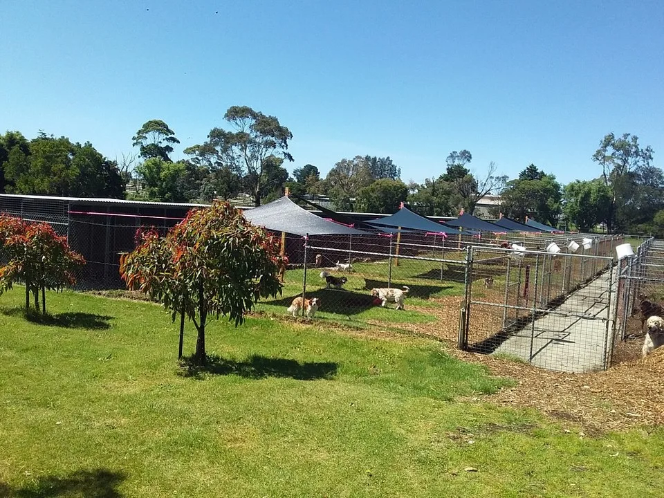 Cranbourne Boarding Kennels - Melbourne pet otel görseli 2