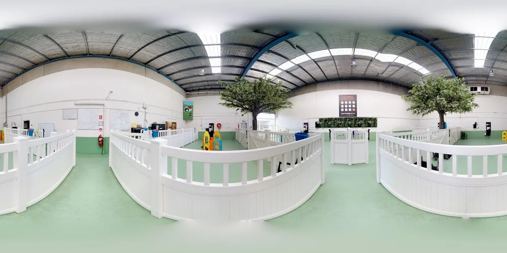 Diggiddy Dog Daycare South Melbourne - Melbourne pet otel görseli 3