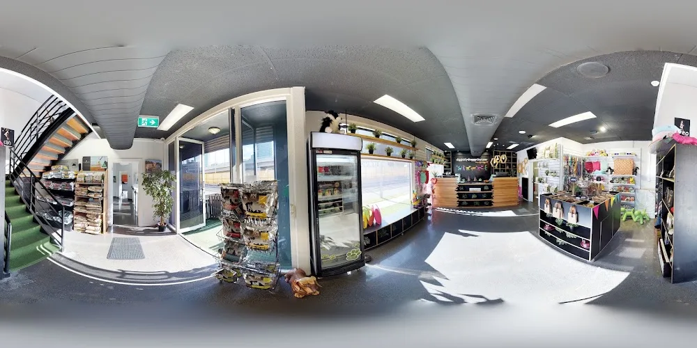 Diggiddy Dog Daycare South Melbourne - Melbourne pet otel görseli 4