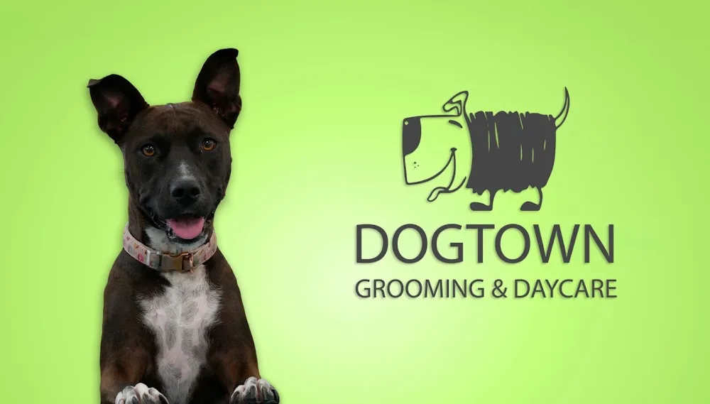 DogTown Grooming & Day Care - Melbourne pet otel