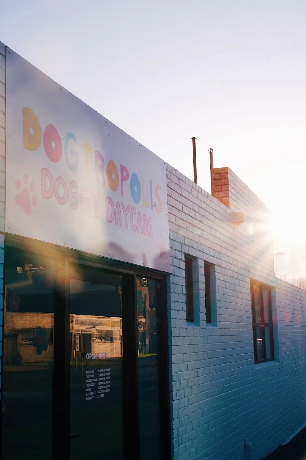 Dogtropolis Doggy Daycare & Grooming - Melbourne pet otel görseli 2