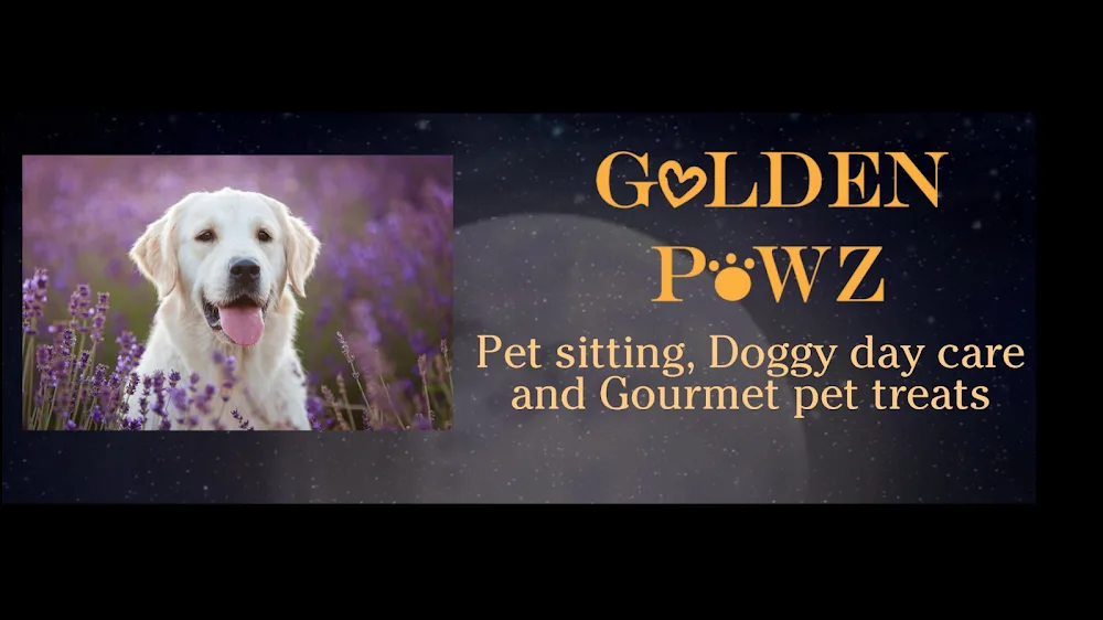 Golden Pawz | In-Home Dog Boarding & Pet Sitting - Melbourne pet otel görseli 2
