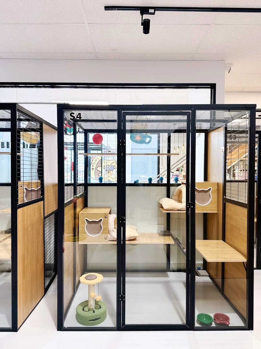 Hajimi Cat Hotel & Cat Grooming - Melbourne pet otel görseli 3
