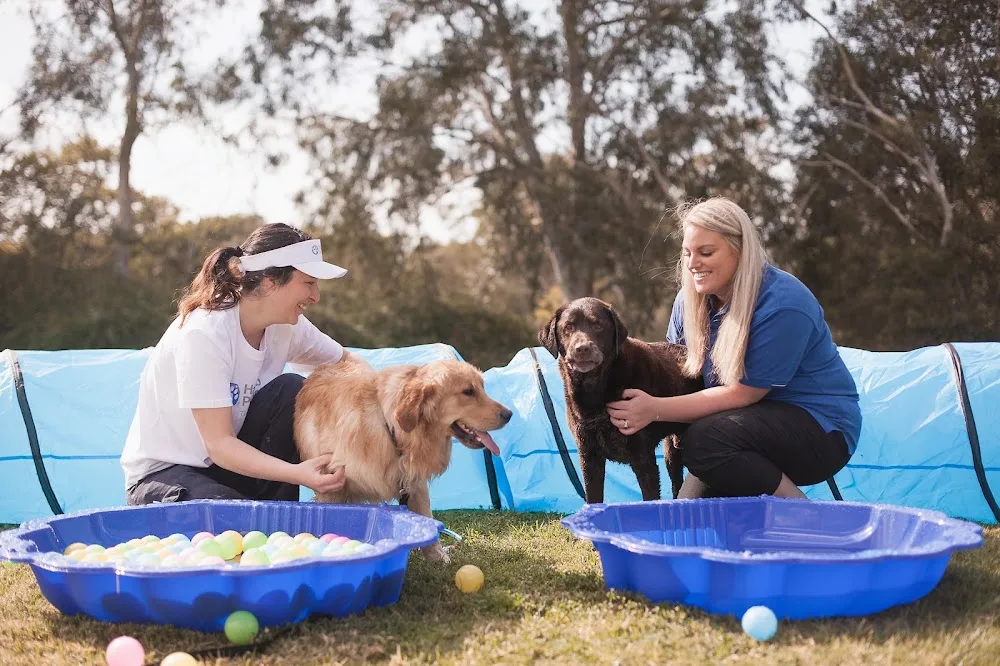 Hanrob Pet Hotels Melbourne Airport - Melbourne pet otel görseli 2