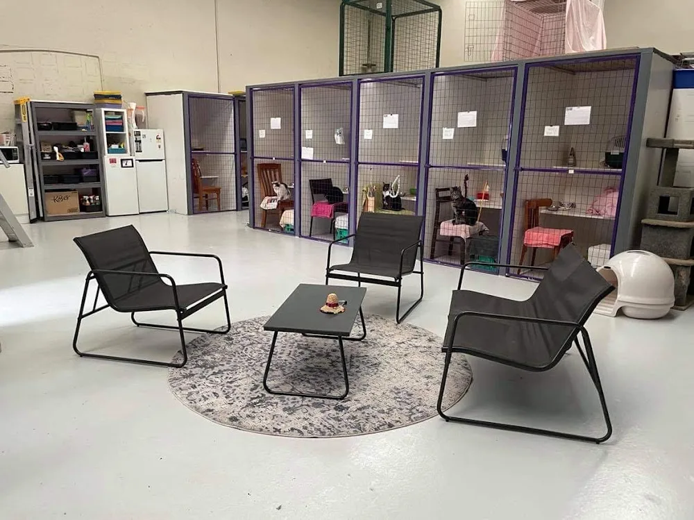 Hobsons Bay Cattery - Melbourne pet otel görseli 6